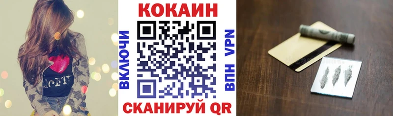 Cocaine Fish Scale  Купить закладки  Выборг 