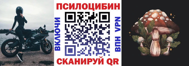 Купить закладки  Выборг  Псилоцибиновые грибы мухоморы 
